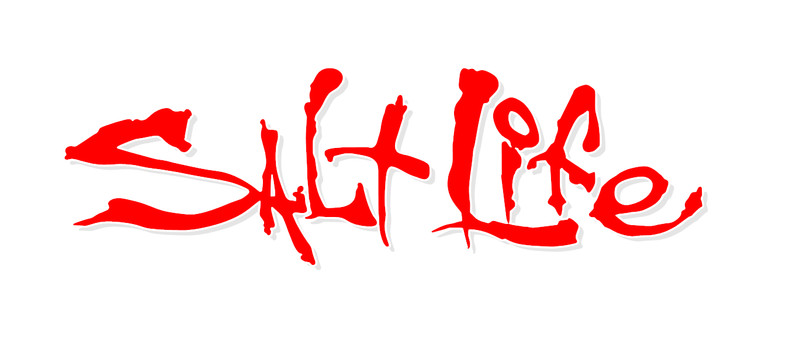 Salt Life Signature - CHOOSE Size & Color - Vinyl Decal Sticker - FREE S/H gallery