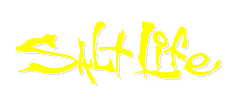 Salt Life Signature - CHOOSE Size & Color - Vinyl Decal Sticker - FREE S/H gallery