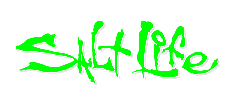 Salt Life Signature - CHOOSE Size & Color - Vinyl Decal Sticker - FREE S/H gallery